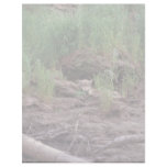 Wolf Resting in Front of Den Letterhead