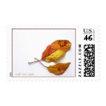 Wolf River Apple Leaves - Autumn Stamps