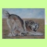 wolf scenic wildlife realist art greeting card cards