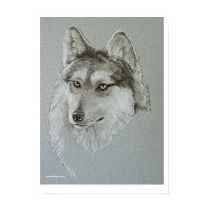 "Wolf Silver Boy" Posters by pawtraitart