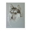 "Wolf Silver Boy" posters by pawtraitart "Wolf Silver Boy" posters