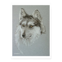 "Wolf Silver Boy" posters