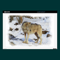 Wolf & Snow Wolf-Lover Wild-Animal Alpha Male skins