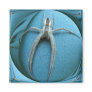 Wolf Spider ~ magnet