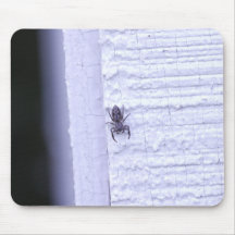 Wolf Spider Mouse Pads