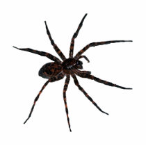 Wolf Spider pin Photo Cutout