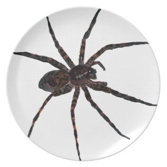 Wolf Spider plate