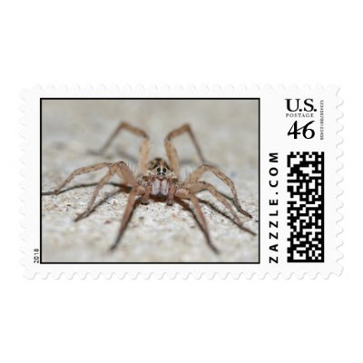 Wolf Spider Stamps by engagedesign