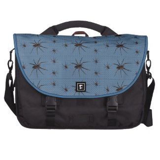 Wolf Spiders on Blue