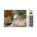 Wolf Stamps