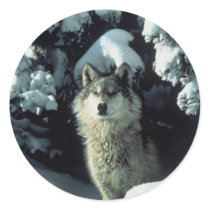Wolf Standing in Snow Round Stickers