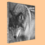 Wolf Stare canvas prints