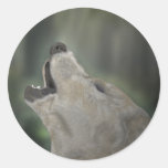 Wolf Sticker