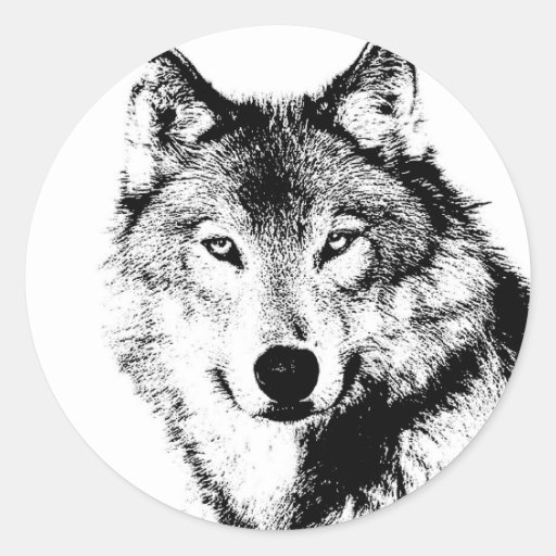 Wolf Classic Round Sticker Zazzle