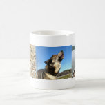 Wolfdog World Coffee Mugs