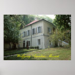 Wolfgang Amadeus Mozart Posters