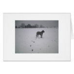 Wolfhound in snow greeting card