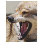 Wolf's Fangs Custom Letterhead