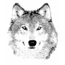 Wolfs Head T-Shirt by calroofer Wolfs Head T-Shirt