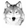 Wolfs Head T-Shirt