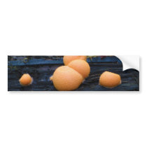 Wolf's Milk Groening's Slime Lycogala Epidendrum Bumper Sticker