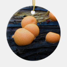 Wolf's Milk Groening's Slime Lycogala Epidendrum Christmas Ornament