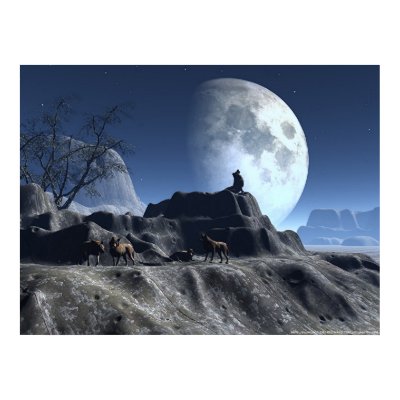 Wolfy Print by REDINARD