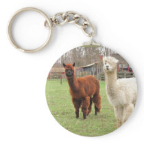 Wolly Llamas ~ keychain