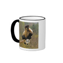 Wolong Panda Reserve, China, 2 1/2 yr old Mugs