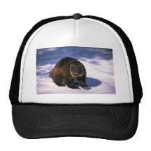 Wolverine on snow mesh hats