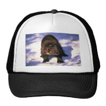 Wolverine on snow trucker hats