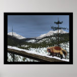 Wolverine Posters