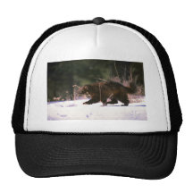 Wolverine running through snow hat