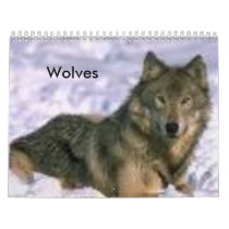 Wolves calendars