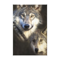 Wolves canvas print canvas prints