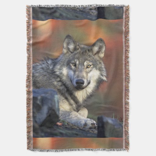 Wolves Grey Wolf Canis_lupus Throw Blanket Zazzle