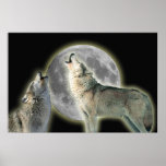 Wolves Howling at Moon Canvas Print
