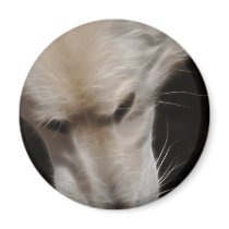 Wolves magnets by laureenr Wolves magnets