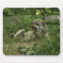 Wolves Mousepads