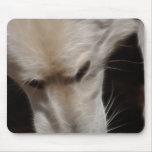 Wolves Mousepad