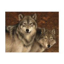 Wolves Postcard by touchministry Wolves Postcard
