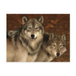 Wolves Postcard