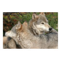 wolves poster posters