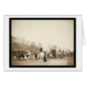 Woman Bullwhacking Oxen SD 1887 cards