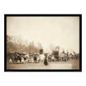 Woman Bullwhacking Oxen SD 1887 posters