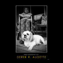 Woman in Wheel Chair and Small Dog posters