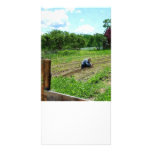 Woman Planting Garden Near Barn Photo Greeting Card