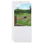 Woman Planting Garden Near Barn Rack Card Template