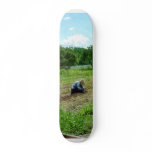 Woman Planting Garden Near Barn Skateboard Decks