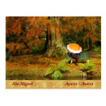 Woman siting with umbrella post cards